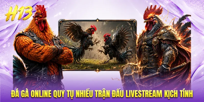 Đá gà online quy tụ nhiều trận đấu livestream kịch tính