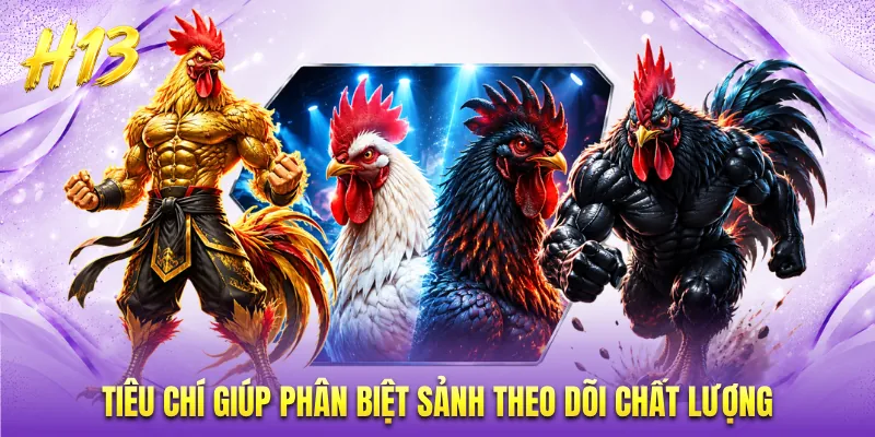 Tiêu chí giúp phân biệt sảnh theo dõi chất lượng